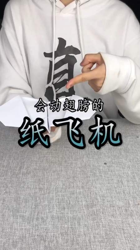 [纸飞机中国版]纸飞机中国怎么用