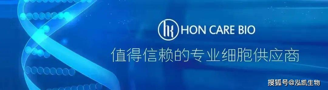 [telegraph如何登陆]telegram怎么登陆进去知乎