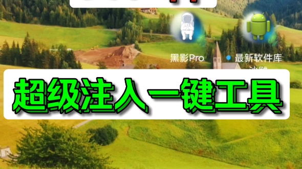 [安卓注入]安卓注入switch