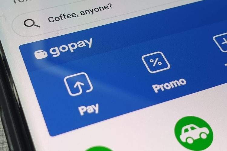 [gopay钱包]gopay钱包是什么骗局