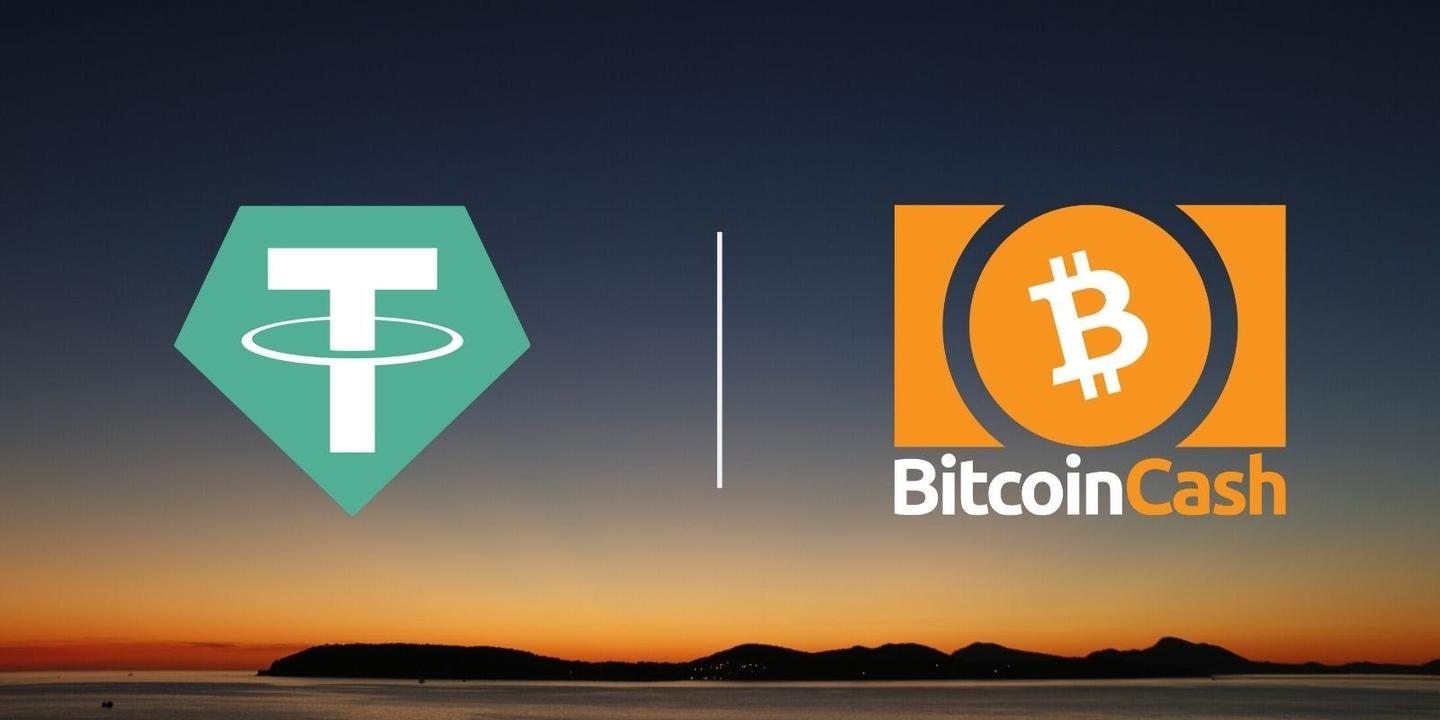 usdt版本区别-usdt usd区别