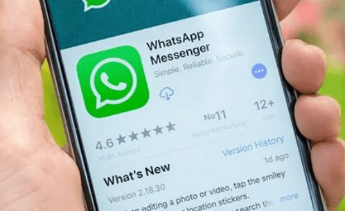 whatsapp安卓版怎么用-whatsappandroid