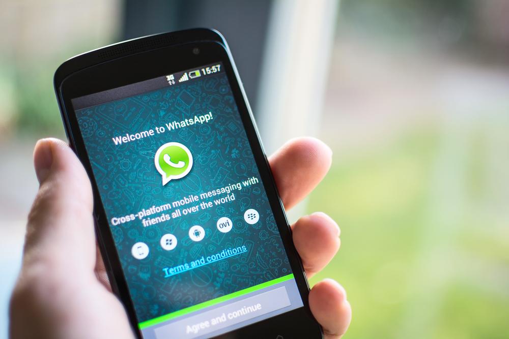 whatsappapkforandroid-whatsappapkforandroid70