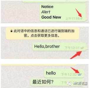 whatsapp国内不能用吗-whatsapp在中国能不能用