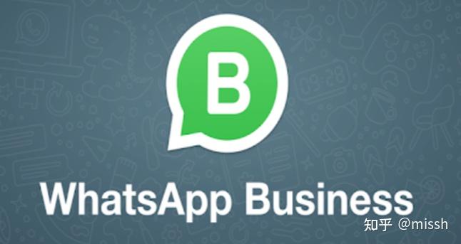 whatsapp在国内能用么-whatsapp在中国能不能用