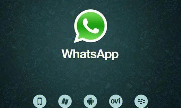 在国内如何用whatsapp-在国内如何用switch看YouTube