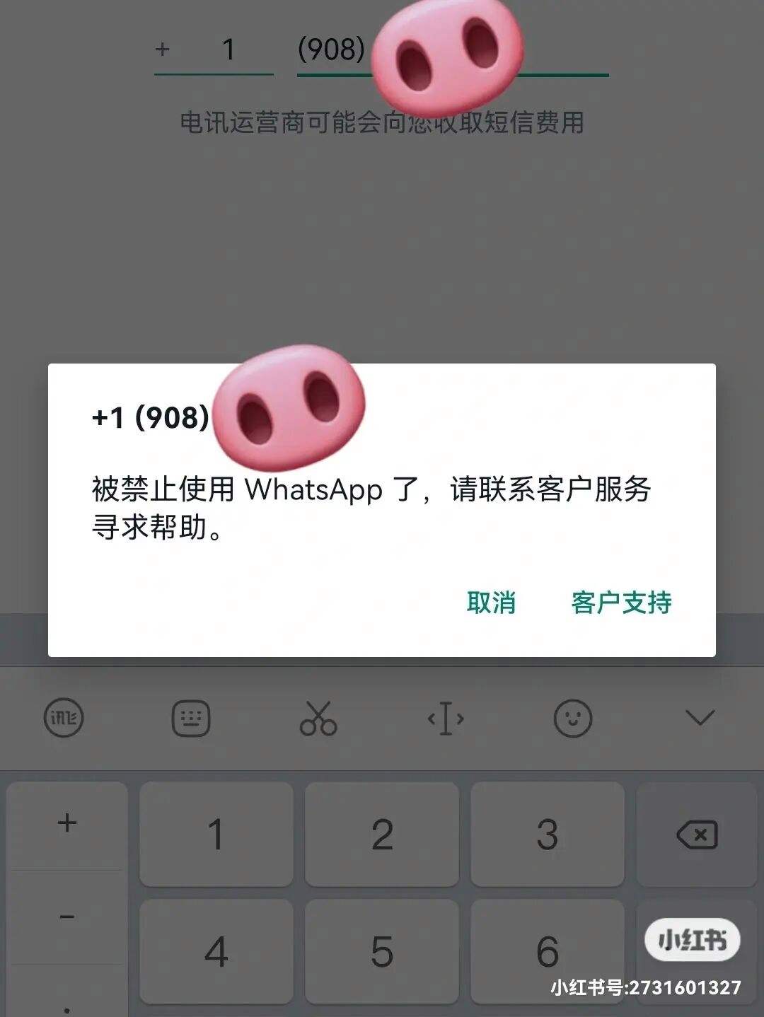 whatsapp下载了不能用-为什么下载的whatsapp不能用