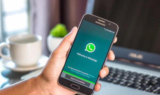 whatsapp安卓可以用吗-whatsapp安卓手机能用吗