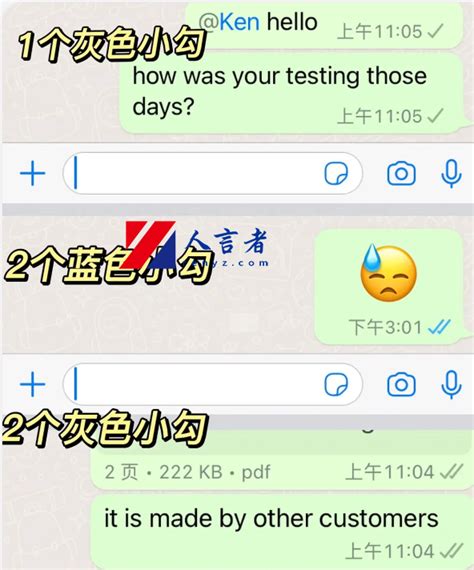 whatsapp下载2022-Whatsapp下载2022最新