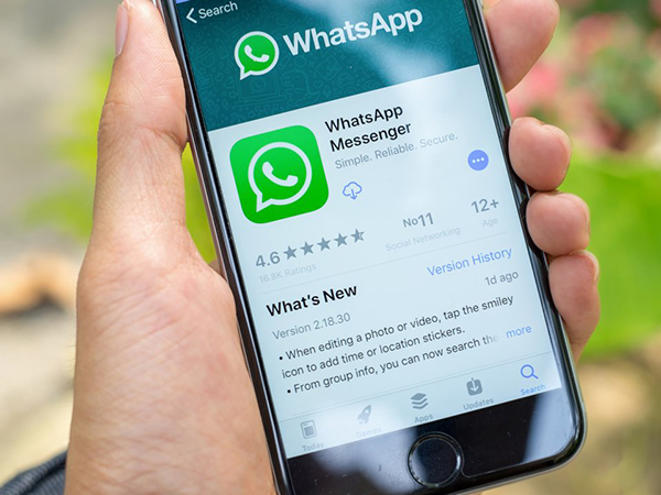 whatsappregister的简单介绍