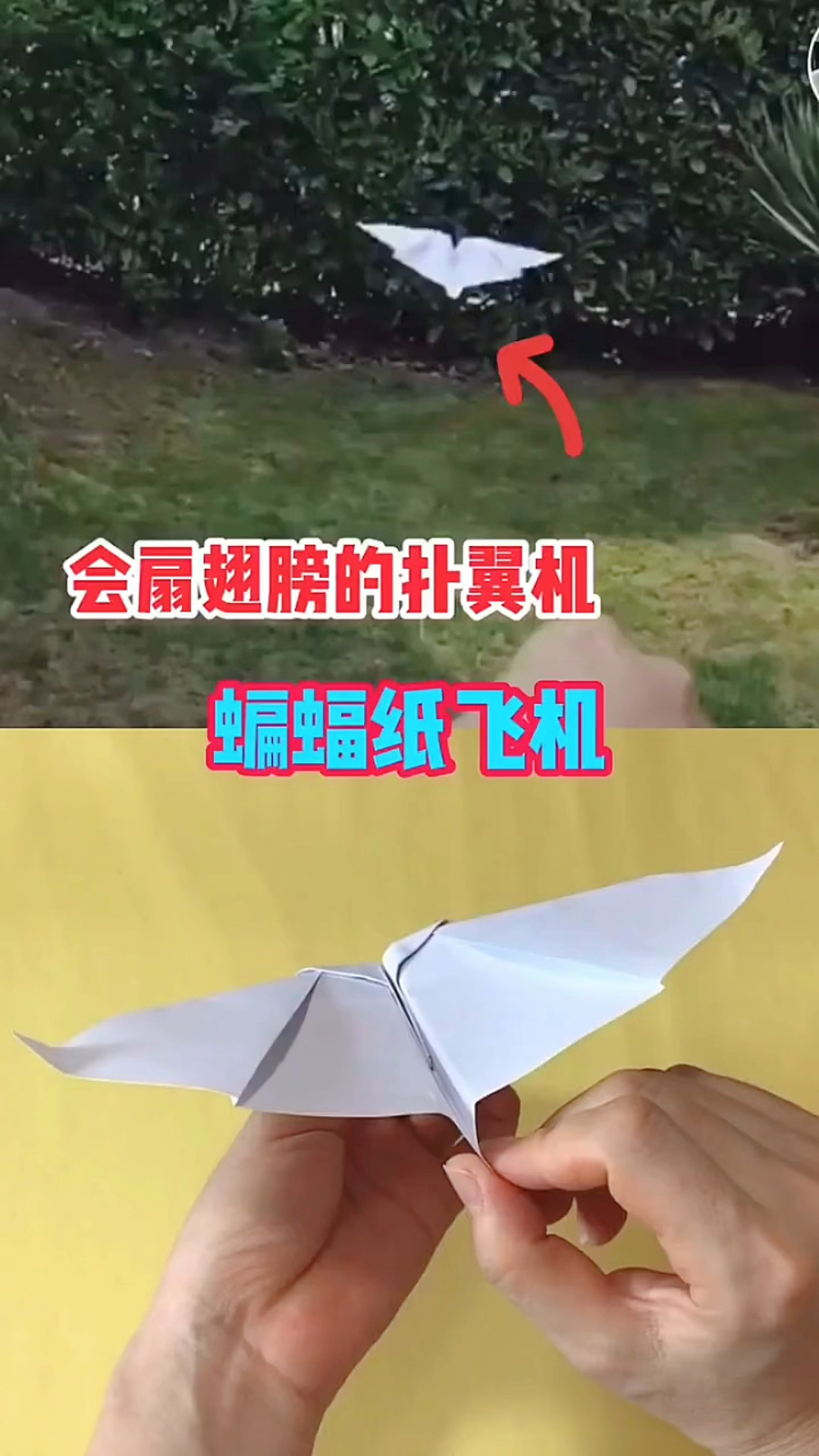 蝙蝠和纸飞机软件哪个软件好-蝙蝠和纸飞机软件哪个软件好用