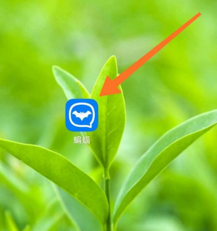 蝙蝠下载app官网安卓-蝙蝠app下载259