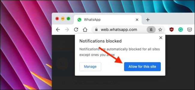 国内whatsapp如何能用-whatsapp国内手机怎么用