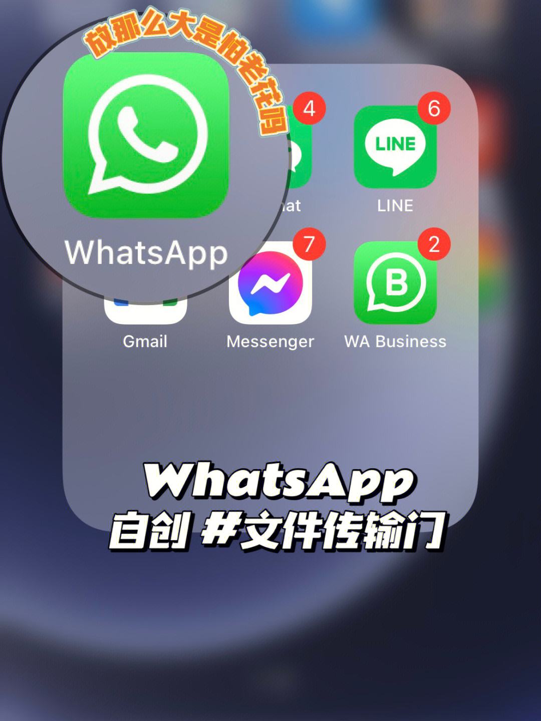 whatsapp下载不了文件-whatsapp下载不了怎么办