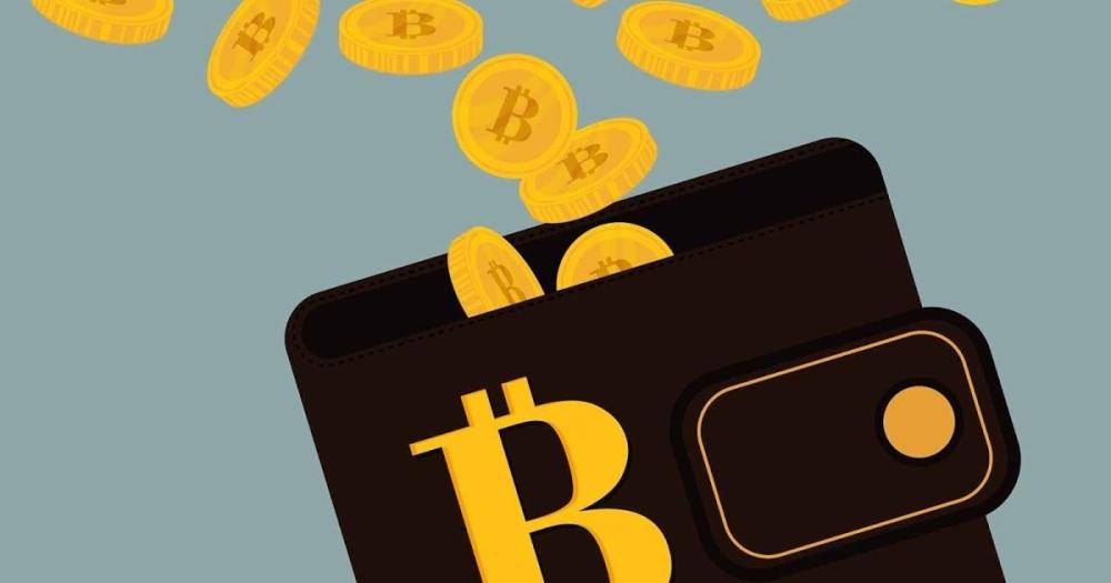 最新版比特币钱包官网-比特币钱包app官网下载安装