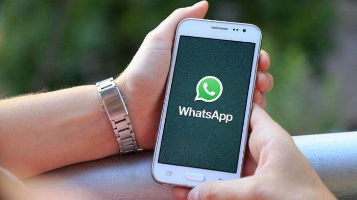 whatsapp安卓版下载官网-whatsapp2021安卓下载安装