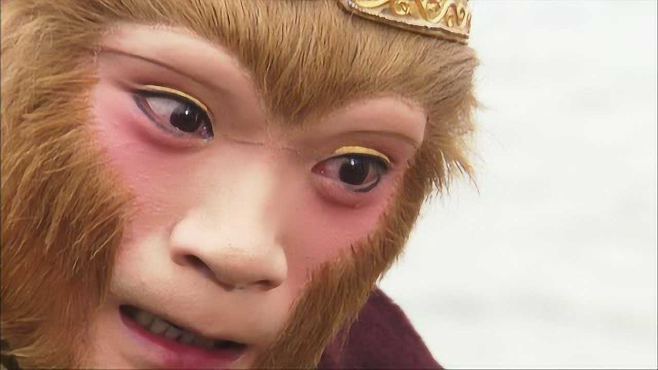 电报猴骂人脏话原视频的简单介绍