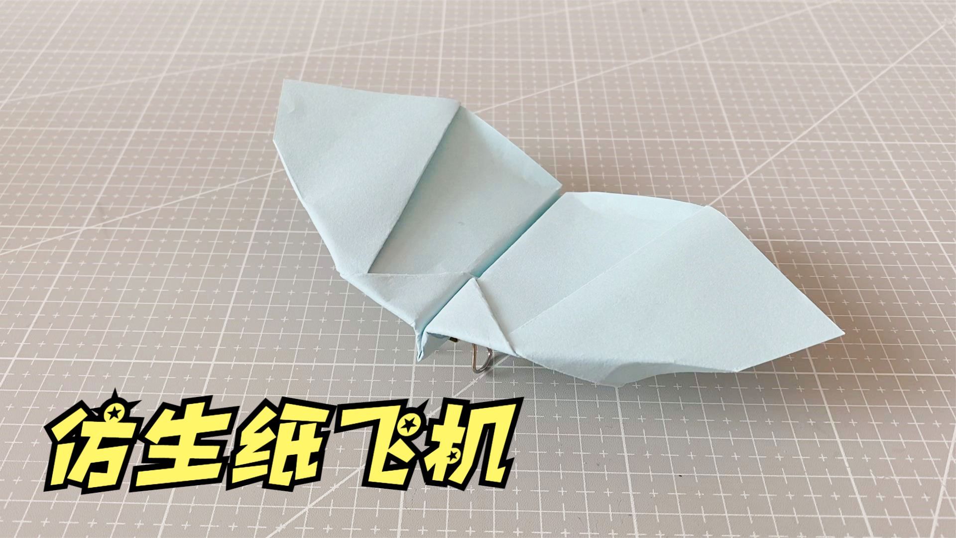 关于纸飞机怎么搜想看的东西的信息