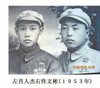 银行电报码翻译-银行电报费是什么意思
