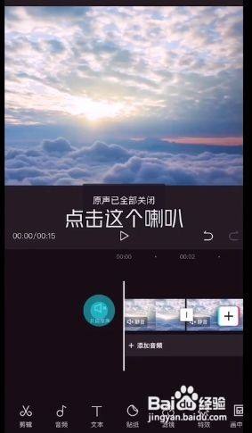 电报猴完整语音原视频没静音的简单介绍