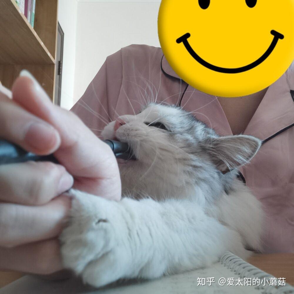 链信钱包地址怎么获得-链信绑定地址可以更改吗