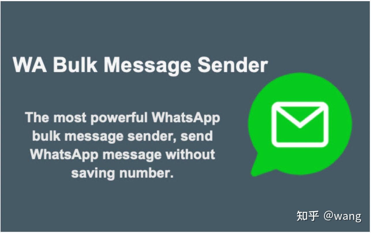 whatsapp官网最新版本-whatsapp2020官方最新版