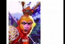 花果山电报员骂人-花果山电报猴原声去电报声