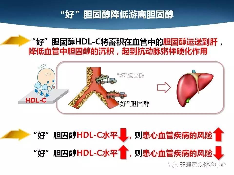 验血TG是什么-验血TG是什么意思