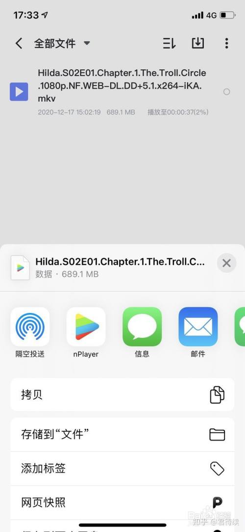 苹果手机怎么下载中文版飞机-苹果手机怎么下载飞机聊天软件