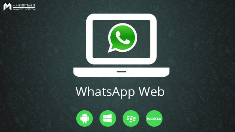 whatsapp下载不了怎么办-whatsapp文件为什么下载不了