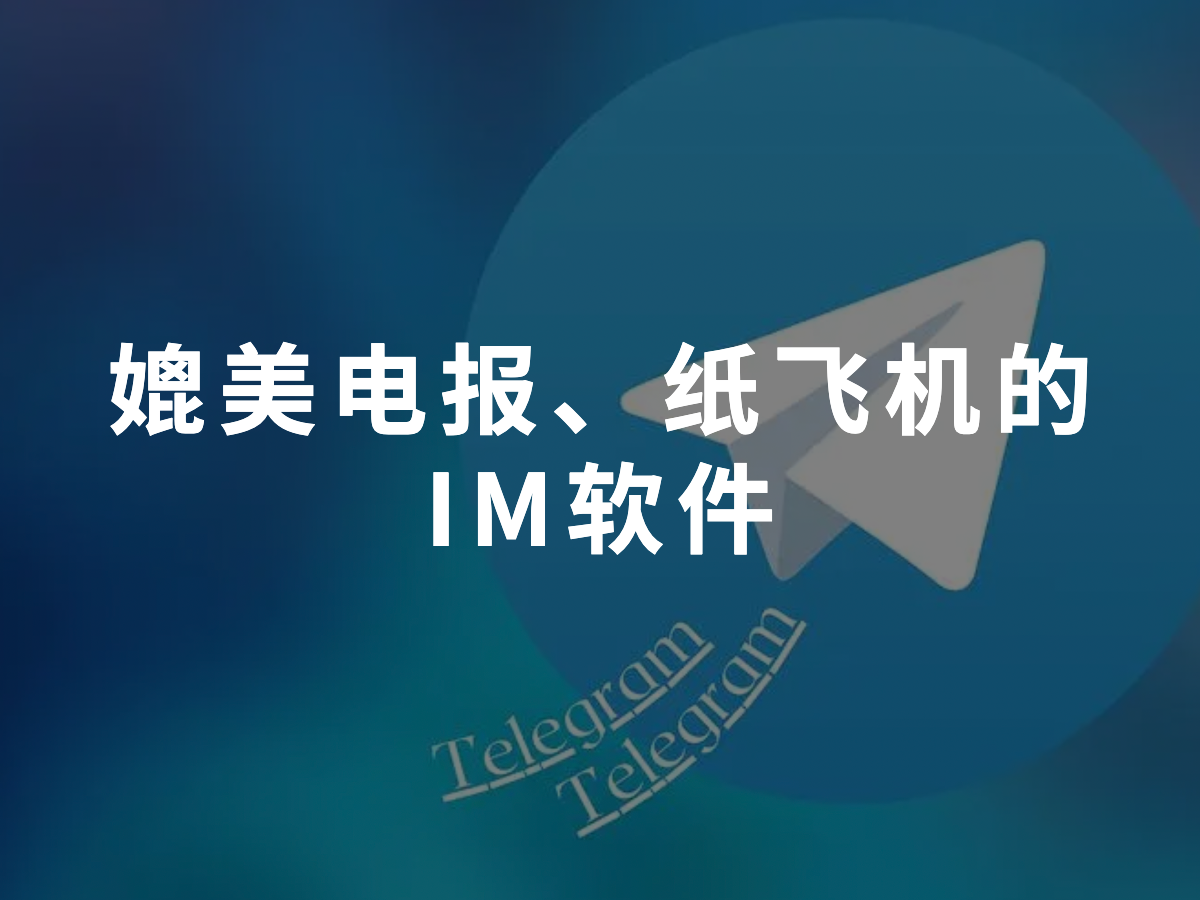 纸飞机怎么没消息提醒-纸飞机怎么设置消息提醒