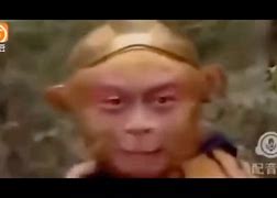 电报猴消音版-电报猴消音音频