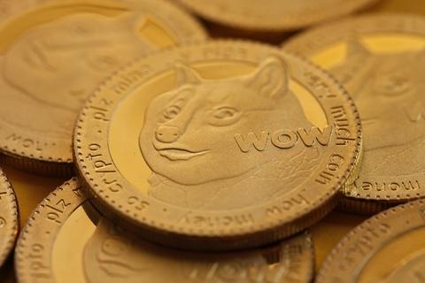 关于狗狗币为何涨势这么猛的信息