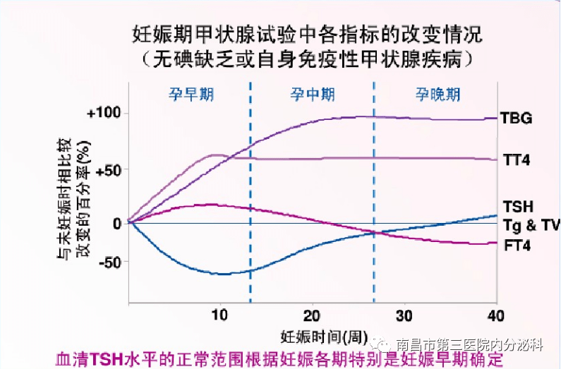 TSH和TG升高的简单介绍