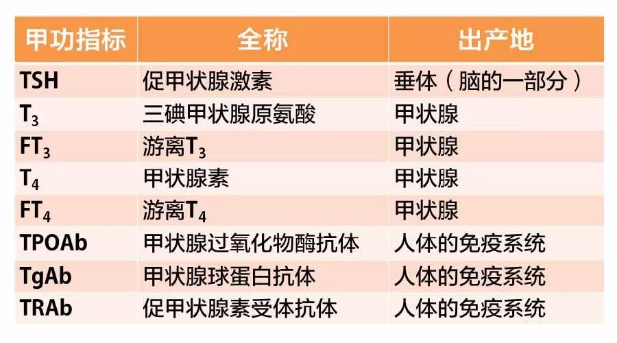 TSH和TG升高的简单介绍