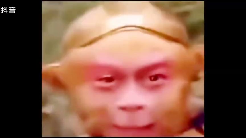 电报猴无消音视频的简单介绍