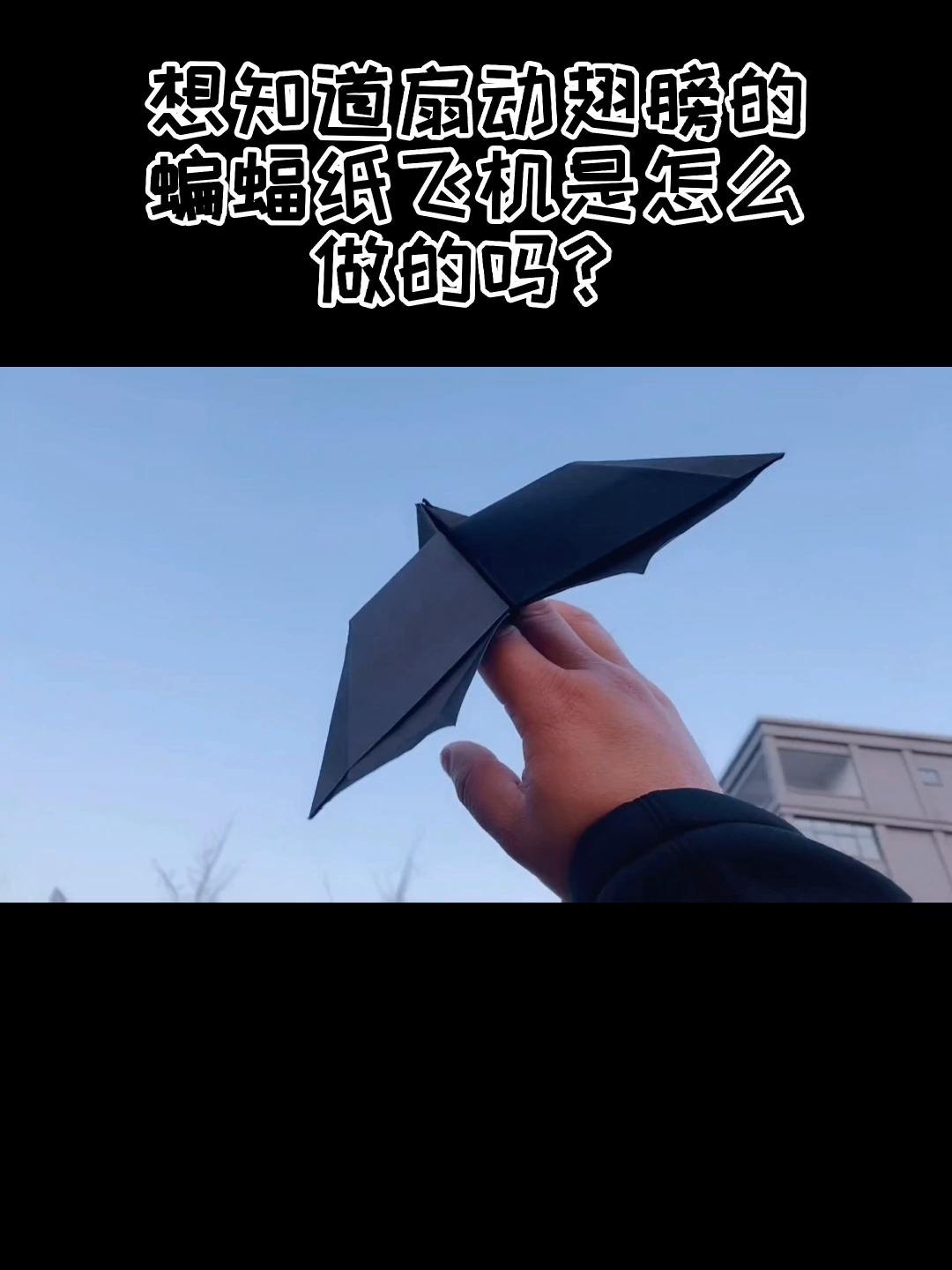 纸飞机的中文版-纸飞机中文版下载