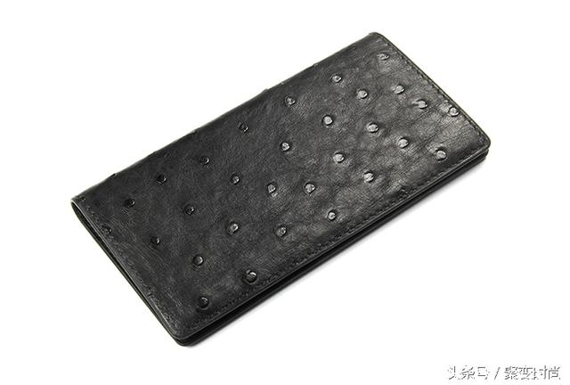 最大的钱包-最大的数字钱包