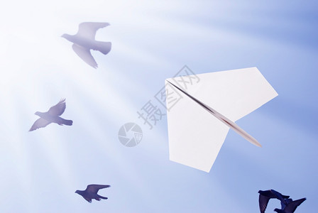 纸飞机群-纸飞机群聊显示无法显示群组怎么办