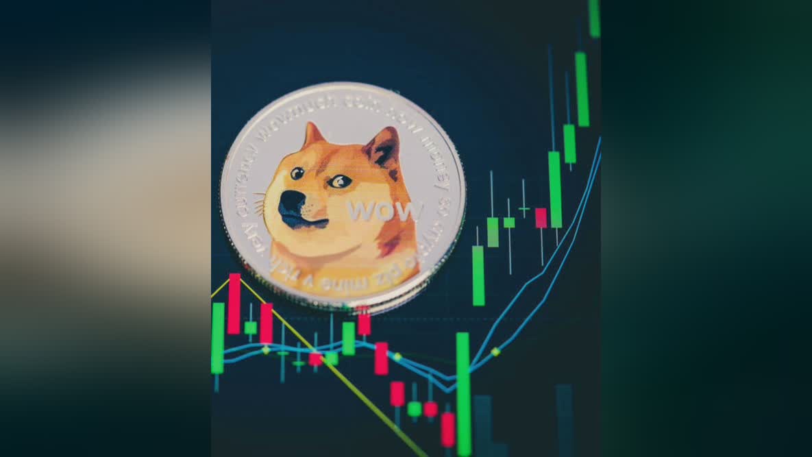 柴犬币-柴犬币最新消息