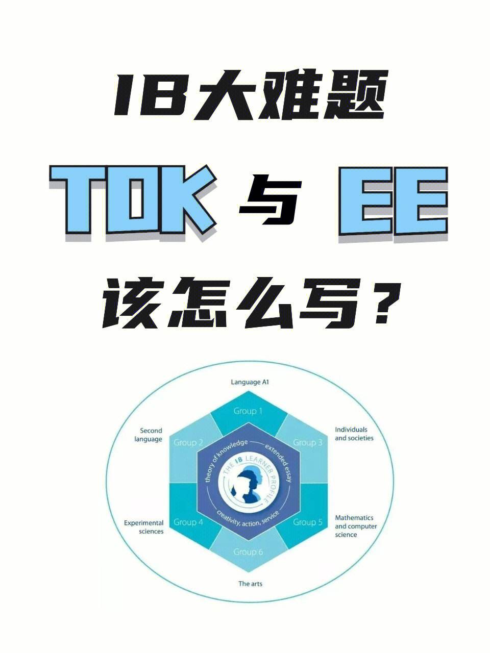 btok电报-btok电报怎么加好友
