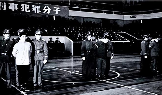 电报员教育场外小学生的简单介绍