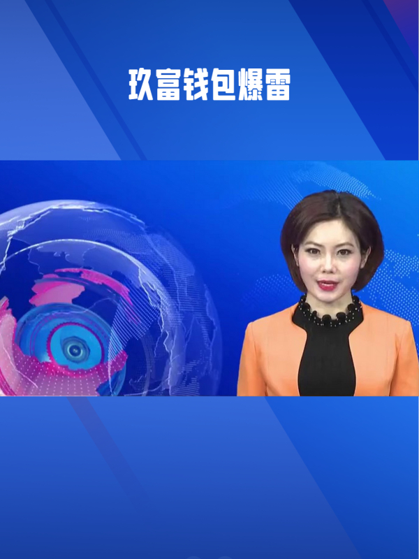 最大钱包暴雷-世界最大的钱包
