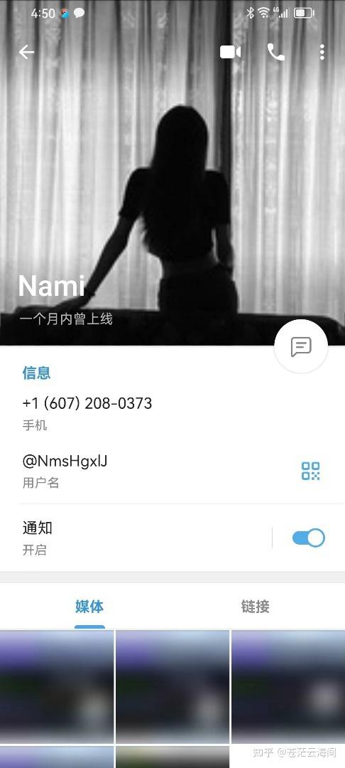 电报上都是骗子-网上说的电报是啥