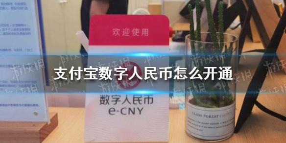 数字人民币和微信支付宝的区别-数字人民币和微信支付宝的区别阅读理解