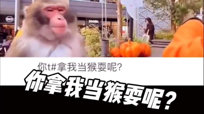 电报猴各种类型-中文汉字电报码对照表
