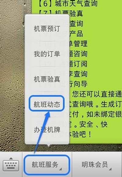 包含飞机app官方版的词条