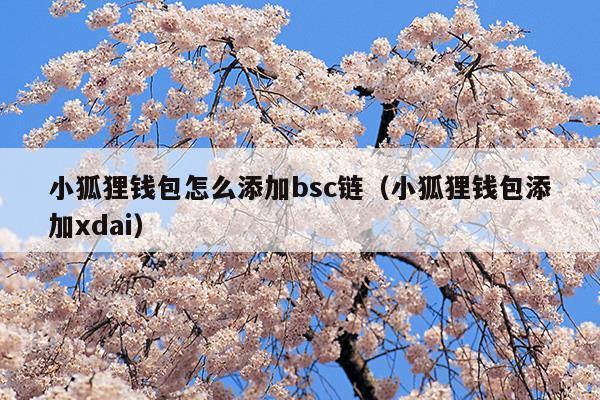 小狐狸钱包中文版320