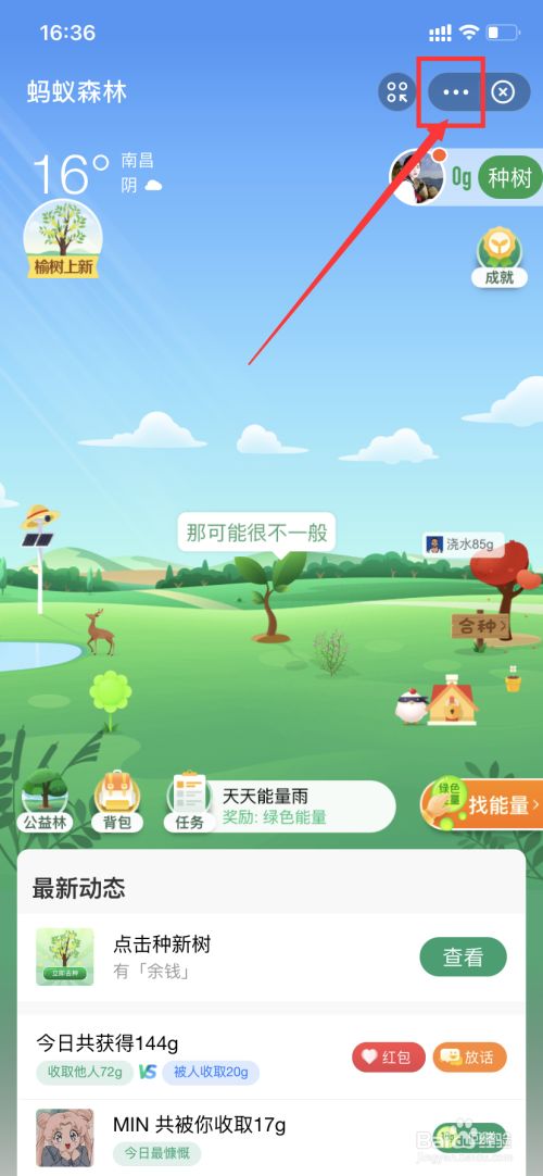 蚂蚁聊天app下载
