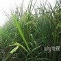 u钱包是不是倒闭了